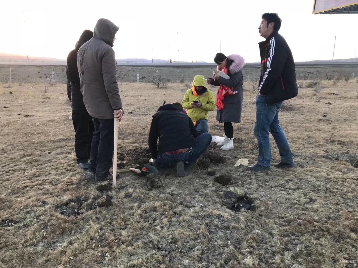 理塘县等县市绿化与植树关键技术研究及植物种质资源圃建设项目